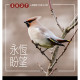 永恆盼望(月曆)-心靈關懷月曆2027